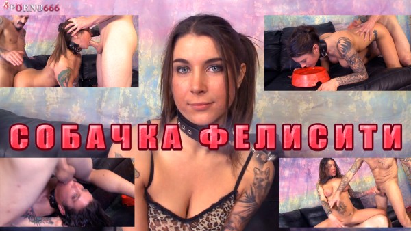 Сучка на кастинге молила: трахайте как грязную собаку-скотину! Русская озвучка HD